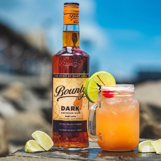 Bounty Rum Premium Dark 750 ml - Main Street Liquor