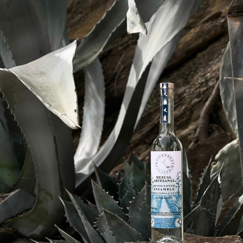 Load image into Gallery viewer, Mezcal Trascendente Ensamble 700ml - Main Street Liquor
