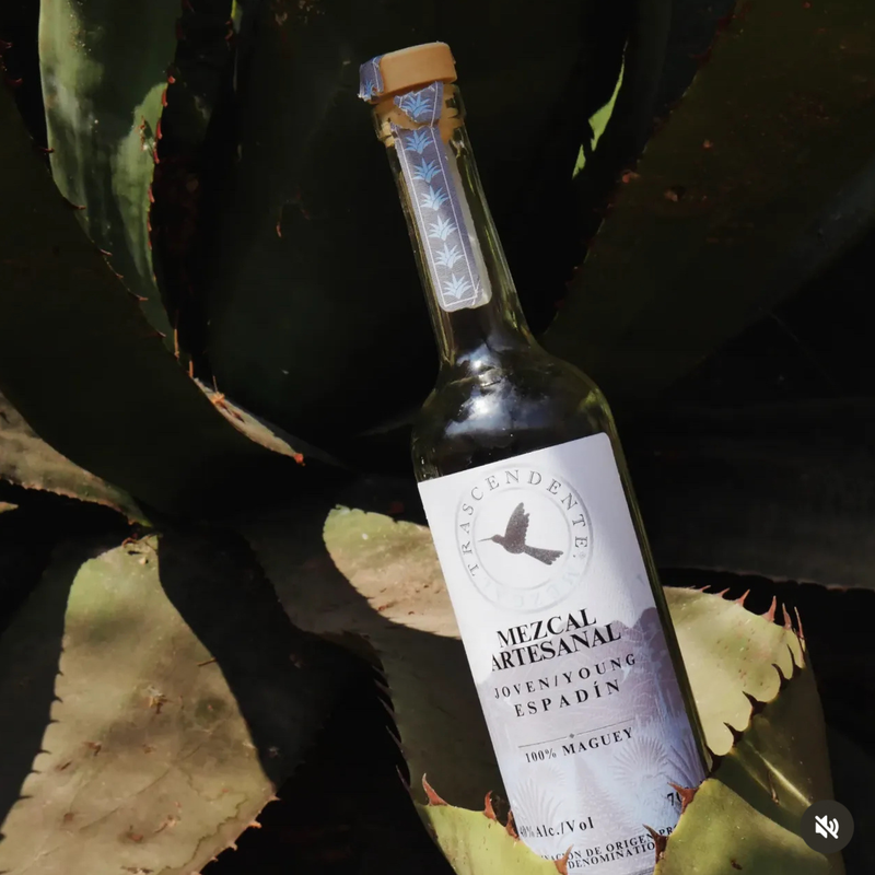 Load image into Gallery viewer, Mezcal Trascendente Espadin 700ml - Main Street Liquor
