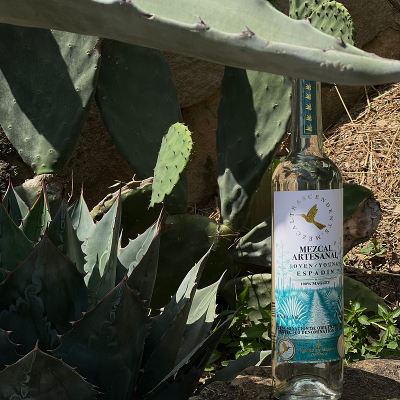 Load image into Gallery viewer, Mezcal Trascendente Espadin Selecto 700ml - Main Street Liquor

