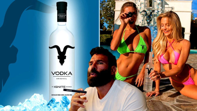 Load image into Gallery viewer, Ignite Vodka By Dan Bilzerian - Main Street Liquor
